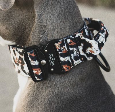 Taktisches Halsband mit Sicherheitsschnalle &amp; Haltegriff „Leo Muster Schwarz“