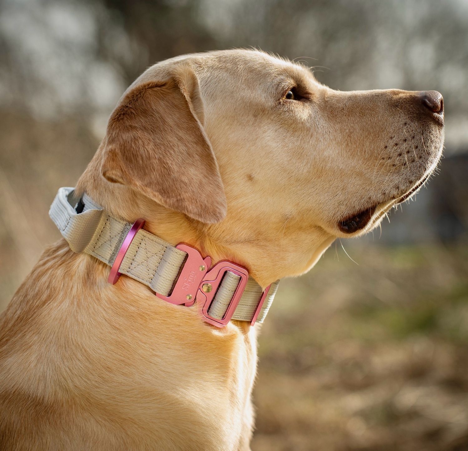 Ultra leichtes Halsband mit Sicherheitsschnalle &amp; Haltegriff &quot;Grau&quot;