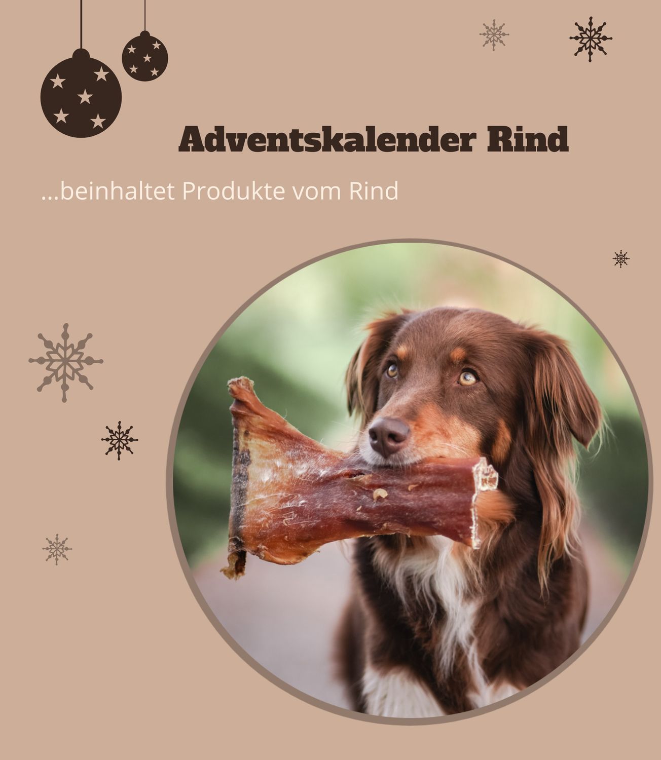 Adventskalender Rind