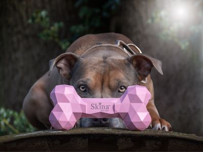 Skina Bone "Rosa"