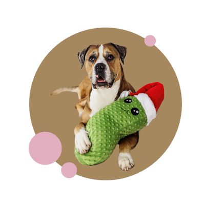 Weihnachten Hund