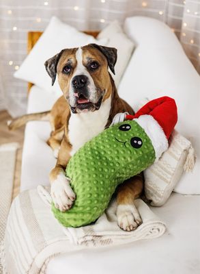 Weihnachts-Gurke Günni (Skina)