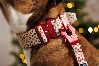 Taktische Skina Hundeleine