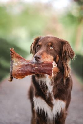 Kauartikel &amp; Snacks