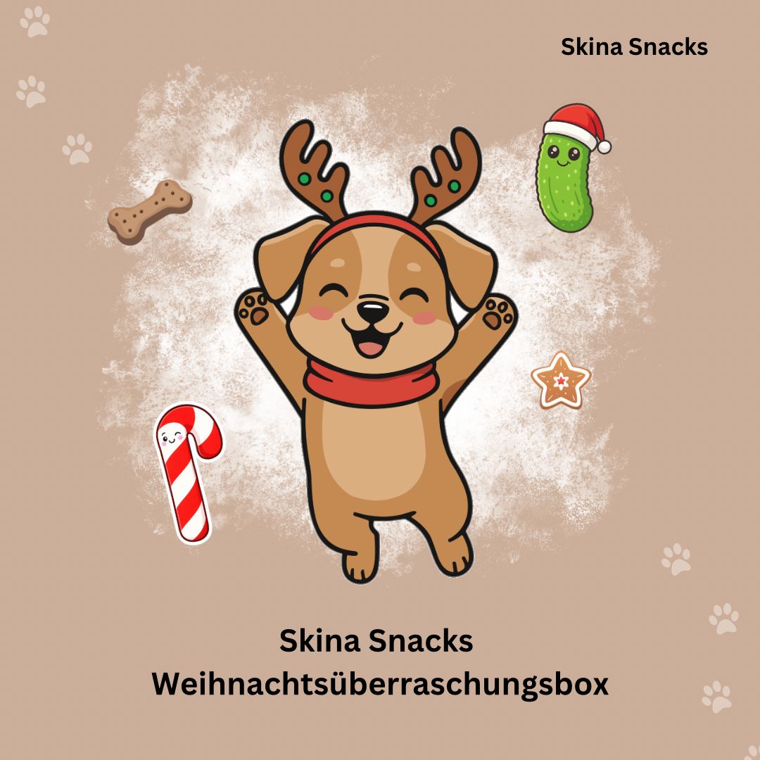 Weihnachtsüberraschungsbox mit Spielzeug