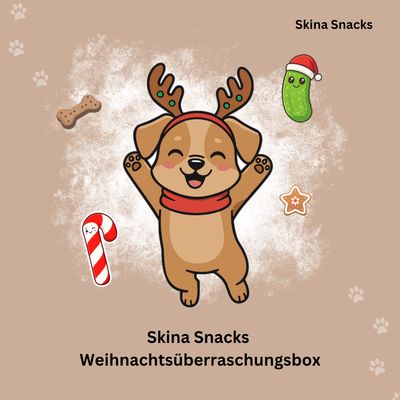 Weihnachtsüberraschungsbox mit Spielzeug Weihnachtsüberraschungsbox mit Spielzeug