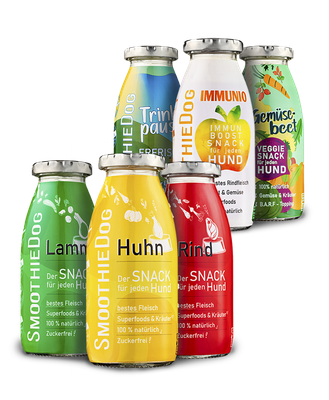 SmoothieDog SmoothieDog