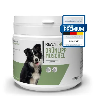 Grünlippmuschel Extrakt