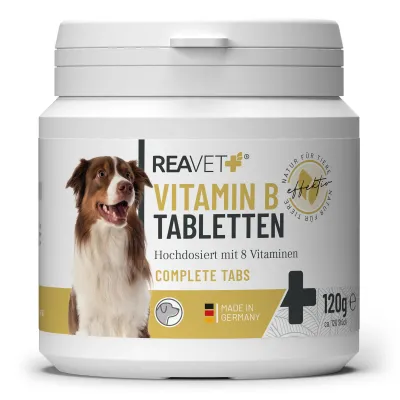 Vitamin B Tabletten 120Stk