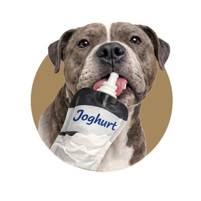 Hunde Joghurt