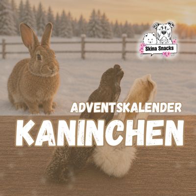 Adventskalender Kaninchen