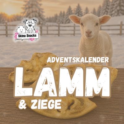 Adventskalender Lamm/Ziege