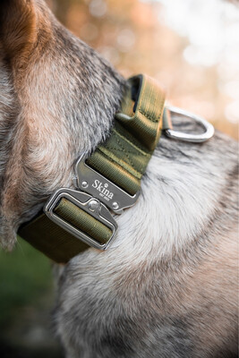 Taktisches Halsband mit Sicherheitsschnalle &amp; Haltegriff „Olive“