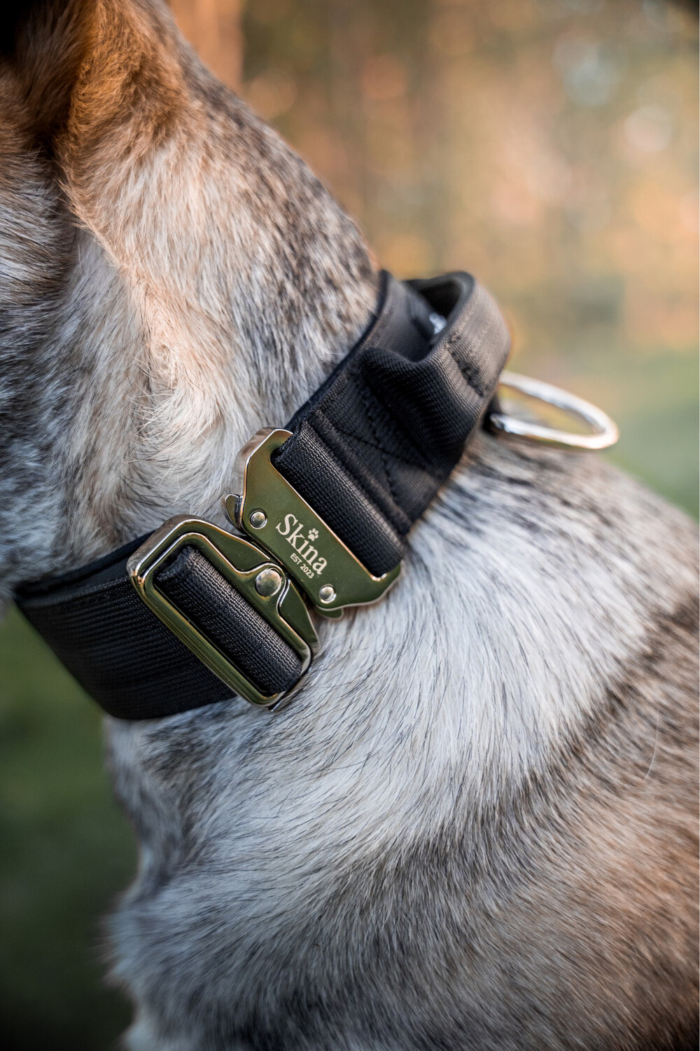 Taktisches Halsband mit Sicherheitsschnalle &amp; Haltegriff „Schwarz“