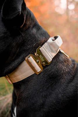 Taktisches Halsband mit Sicherheitsschnalle &amp; Haltegriff „Beige“
