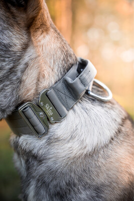 Taktisches Halsband mit Sicherheitsschnalle &amp; Haltegriff „Grau“