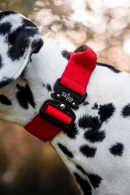 Taktisches Halsband mit Sicherheitsschnalle &amp; Haltegriff „Rot“