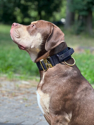 Taktisches Halsband mit Sicherheitsschnalle &amp; Haltegriff „Schwarzes Camouflage“
