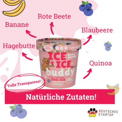 Ice Buddy Blaubeere-Banane