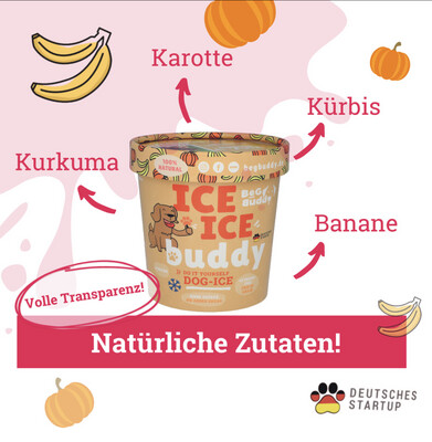 ICE Buddy Kürbis-Banane