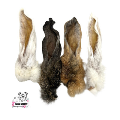 Kaninchenohren mit Fell