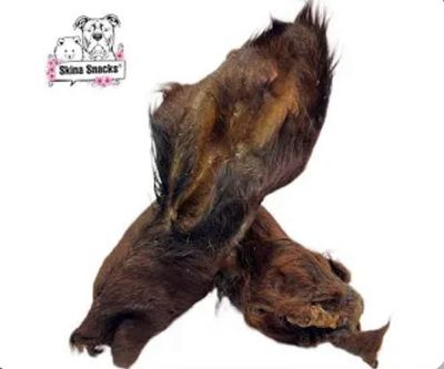 XXL Rinderohr mit Fell,Muschel und Fleisch XXL Rinderohr mit Fell,Muschel und Fleisch