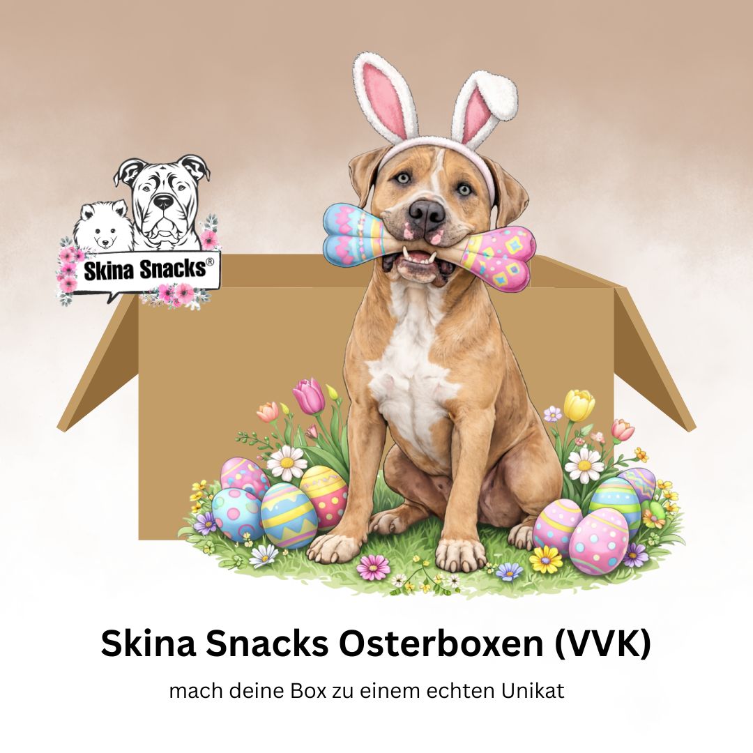 Skina-Snacks: Osterboxen (VVK)