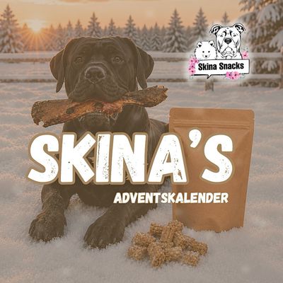 Skinas Adventskalender