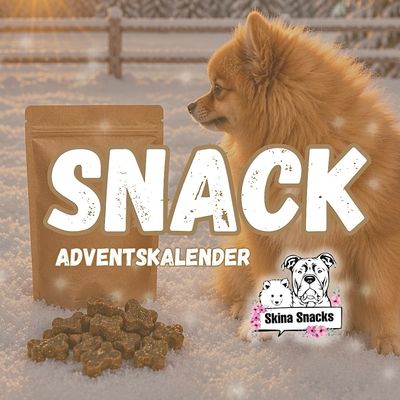 Snack Adventskalender