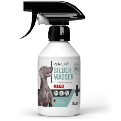 Silberwasser 250ml MHD 06/26