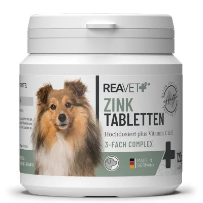 Zink Tabletten 120Stk