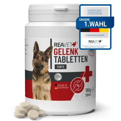 Gelenktabletten Forte