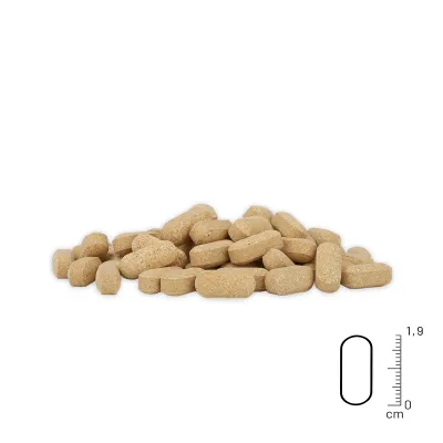 Gelenktabletten Senior 120Stk