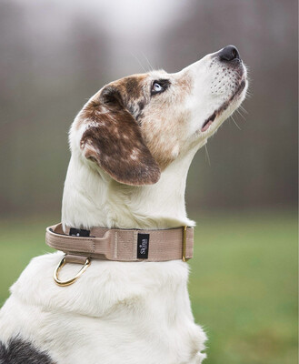 Skina Halsband für kleine Hunde "Beige"
