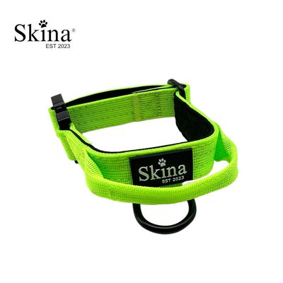 Skina Halsband für kleine Hunde "Neon Grün"