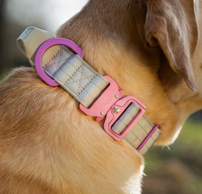 Ultra leichtes Halsband mit Sicherheitsschnalle &amp; Haltegriff "Grau"