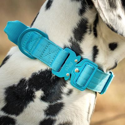 Ultra leichtes Halsband mit Sicherheitsschnalle &amp; Haltegriff "Blau"