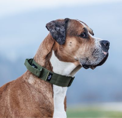 Ultra leichtes Halsband mit Sicherheitsschnalle &amp; Haltegriff "Olive"