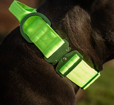 Ultra leichtes Halsband mit Sicherheitsschnalle &amp; Haltegriff "Neon Grün"