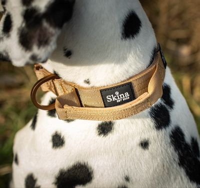Ultra leichtes Halsband mit Sicherheitsschnalle &amp; Haltegriff "Braun"