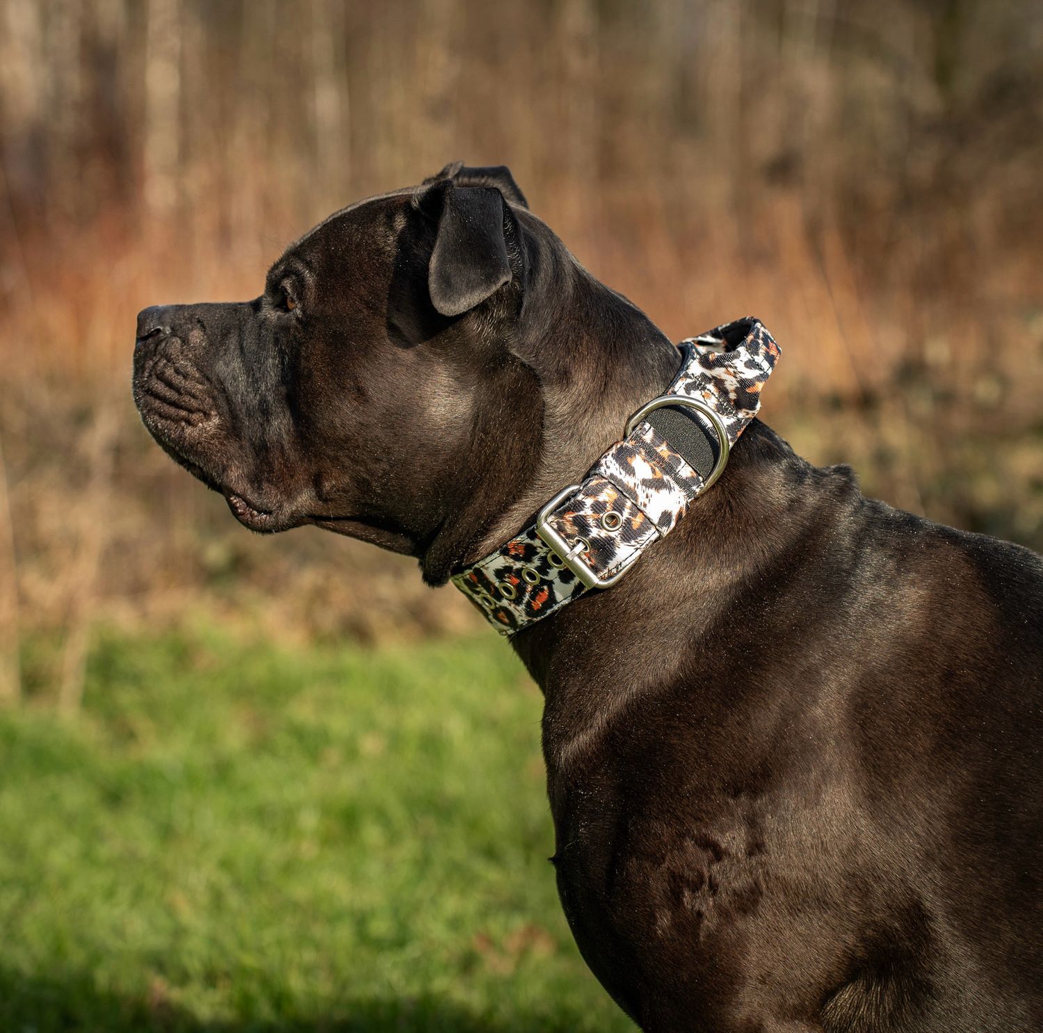 Halsband mit Haltegriff &amp; Rollschnalle "Leoprint"