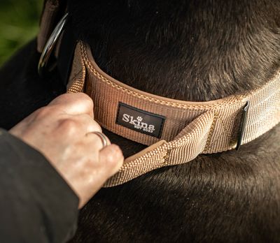 Halsband mit Haltegriff & Rollschnalle "Braun"