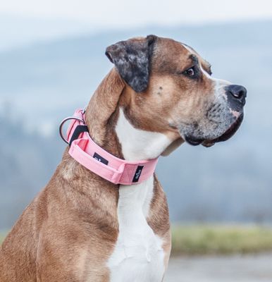 Halsband mit Haltegriff &amp; Rollschnalle "Rosa"