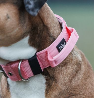 Halsband mit Haltegriff &amp; Rollschnalle "Rosa"