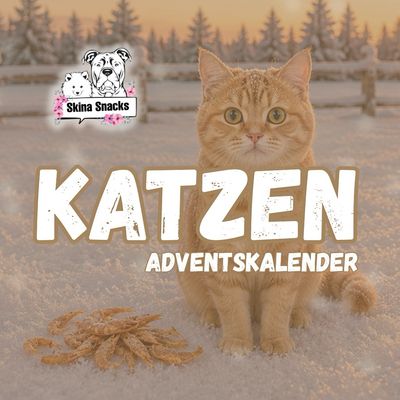 Katzen Adventskalender
