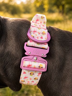 Skina Taktische Halsband &amp; Leinen Set „Ultra leicht“ Summer Edition