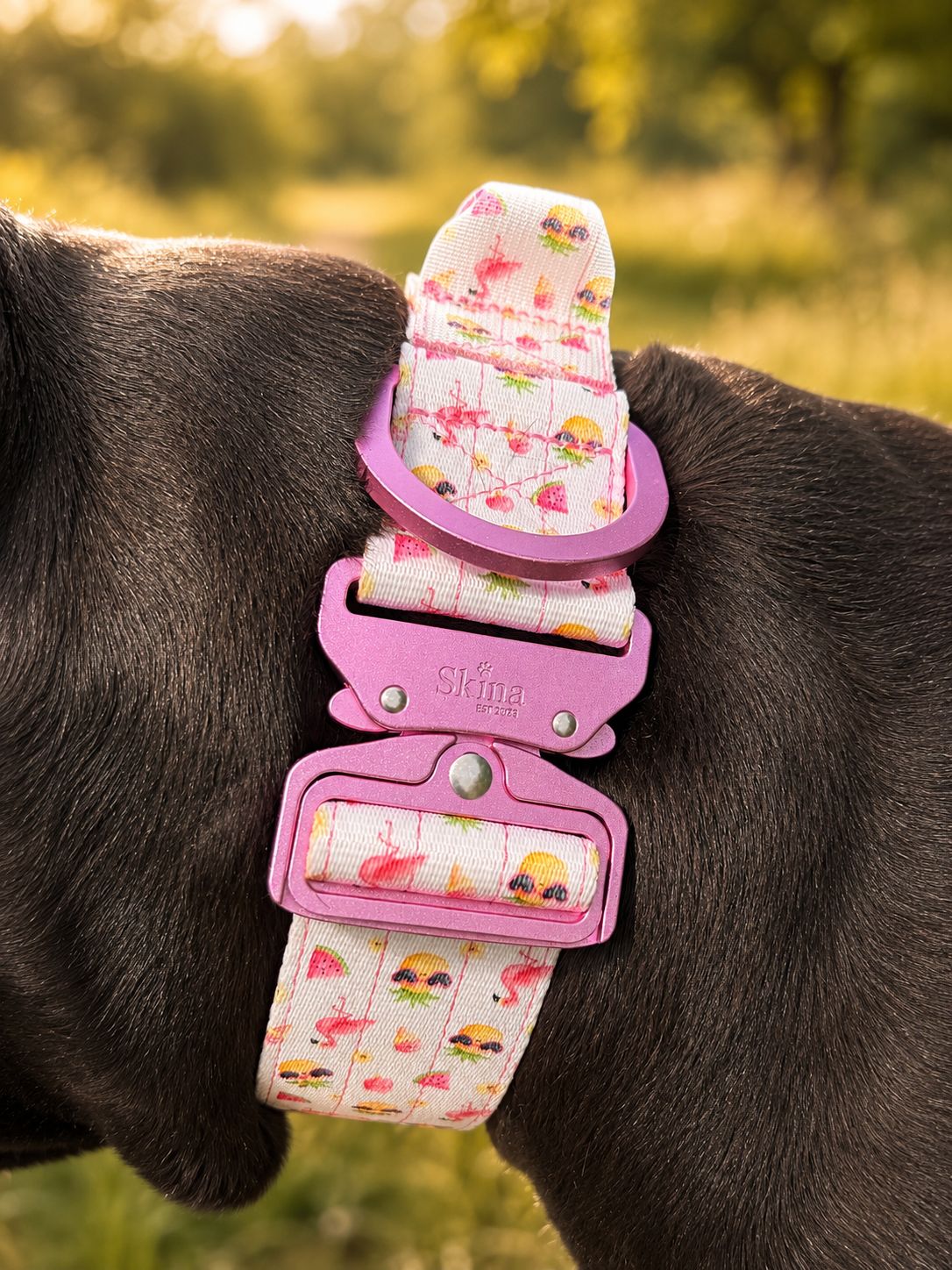 Skina Taktische Halsband &amp; Leinen Set „Ultra leicht“ Summer Edition