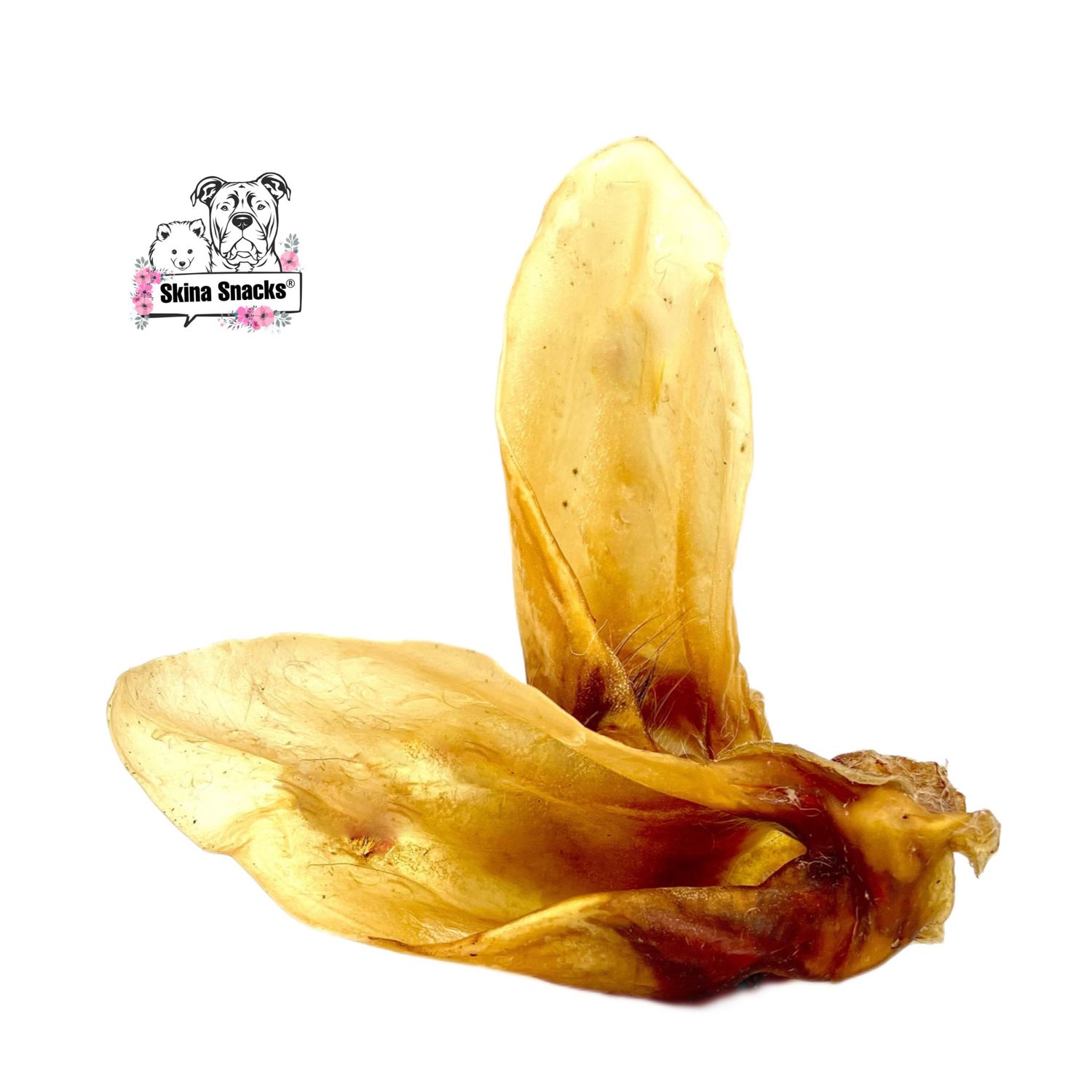 Rinderohr mit Muschel