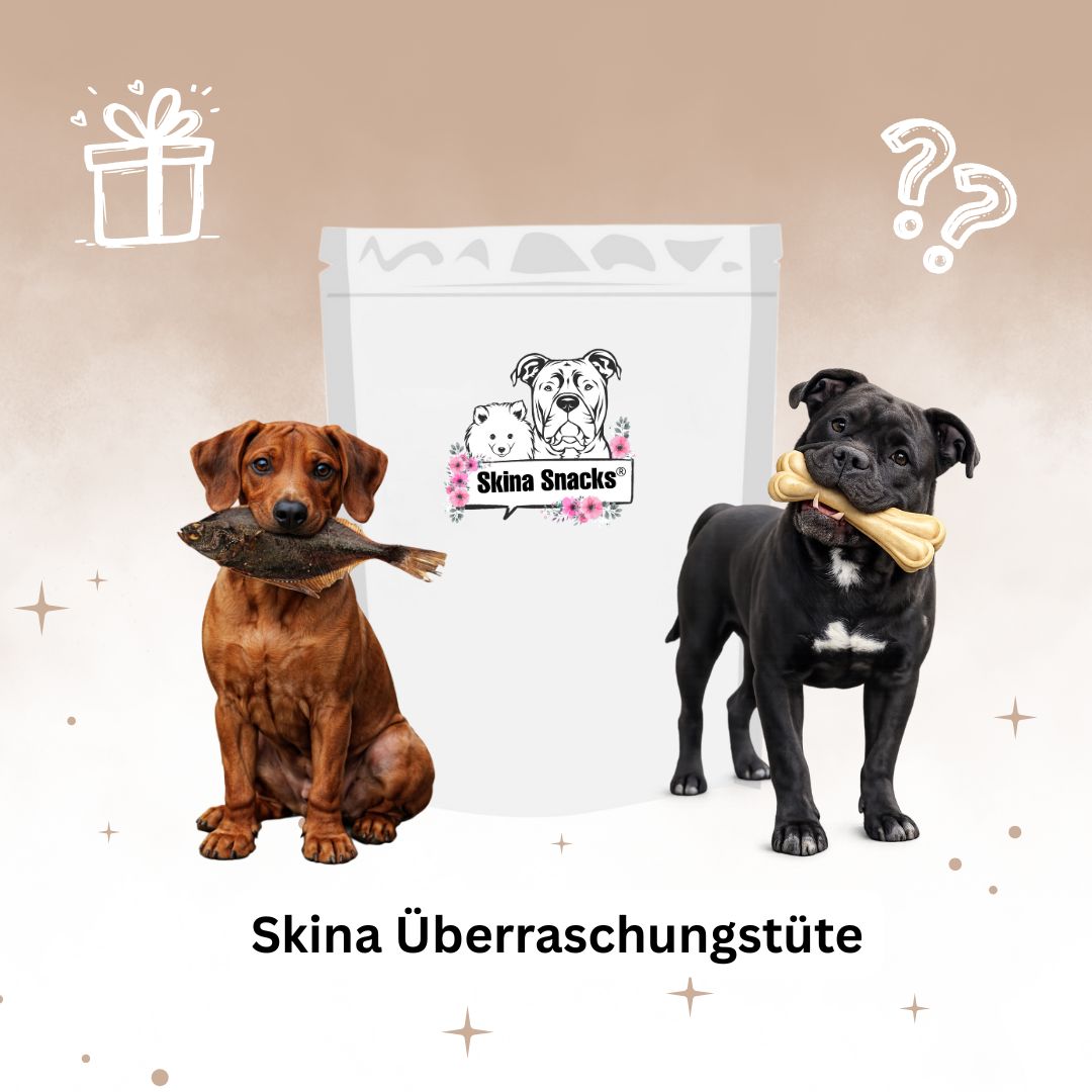 Skina Überraschungstüte 250g
