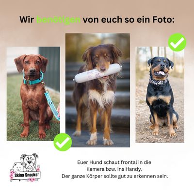 Skina Wunsch-Probiertüte